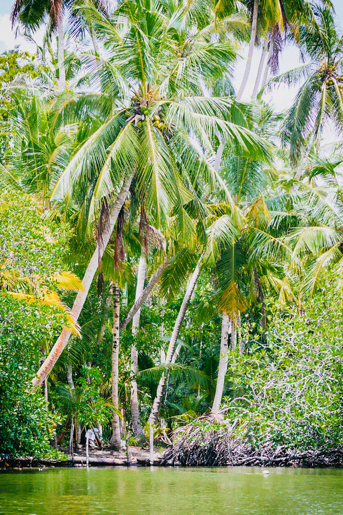 Maduganga Lake